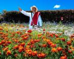 Las fincas cultivadoras de flores son un gran atractivo de la Feria y por ello se controlan los aspectos relacionados con la seguridad. FOTO: JAIME PÉREZ