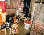 Margarita aún llora el asesinato a machetazos de dos de sus 83 perros