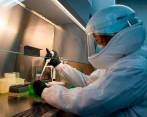 Cuatro agencias de inteligencia considera la posibilidad de que el virus viene de un animal. FOTO Esteban Vanegas