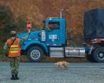 Los atentados registrados en junio pasado implicaron redoblar el pie de fuerza militar en el corredor. FOTO Archivo EL COLOMBIANO