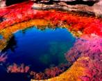 Caño Cristales podría ser cerrado al público durante las vacaciones decembrinas FOTO: Colprensa