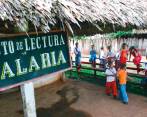 Por el paro minero, sumado a problemáticas de seguridad como amenazas de grupos armados, a las poblaciones más vulnerables han dejado de llegar insumos médicos fundamentales para combatir la transmisión del dengue y la malaria. FOTO el colombiano