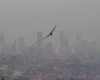 Según el estudio, Colombia se enfrenta a la contaminación derivada de los incendios forestales provocados por olas de calor. FOTO: MANUEL SALDARRIAGA