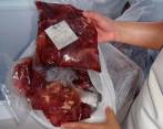 Los estudiantes beneficiarios del PAE podrían haber consumido carne de caballo durante vatios meses. Imagen de referencia que no corresponde al lugar y fecha de los hechos. FOTO: COLPRENSA
