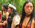 La FAO elogió el trabajo agrícola de las mujeres indígenas del Ecuador. Sus prácticas ancestrales se ajustan a las necesidad del medio ambiente. Foto: Efe.