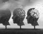 El cerebro tiene una cantidad de conexiones neuronales que le hacen imposible recordarlo todo. FOTO: SSTOCK