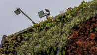 Los jardines tienen la capacidad de producir oxígeno para 684 personas cada año. Foto Juan: Antonio Sánchez Ocampo