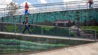 Los puentes peatonales se convirtieron en lienzos. Fotos: Carlos Velásquez