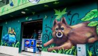 Para la líder y fundadora del barrio Brisas del Jardín, María Janeth Alzate: “la gente está muy contenta con este proyecto. Todos están a la expectativa, mirando los murales y los jóvenes artistas que están pintando. Con muchas ansias por las cosas buenas y positivas que traerá este proyecto al barrio”. Foto: Julio César Herrera
