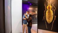 Las fotografías a gran escala se verán hasta el próximo 3 de abril p.m. Foto: Carlos Velásquez