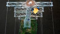 Los trabajadores de las empresas locales de energía realizan mantenimiento de las torres respetando el nido de las aves. Foto: Getty 