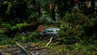 Según el Dagrd en lo que va del 2023 son 107 los incidentes de caídas de árboles, sobretodo en zonas residenciales del occidente, especialmente cuando la ciudad la sacude las fuertes tormentas. Foto Esneyder Gutiérrez