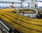 Un memorando de entendimiento le permitiría a Gilinski quedarse con el 87% de las acciones de Nutresa. Sura y Argos dejarían de ser socios del grupo de alimentos. FOTO Julio César Herrera