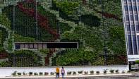 En los cinco jardines verticales se sembraron 22.8000 plantas con capacidad para absorber 88.920 kilogramos de polvo y 1.466 kilogramos de metales pesados cada año. Foto: Juan Antonio Sánchez Ocampo