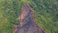 Antioquía ha perdido 500.000 hectáreas de bosque desde 1999. Esta extensión equivale a poco más de cuatro veces el tamaño del área metropolitana del Valle de Aburrá. El 50% de la deforestación registrada en Antioquía se reporta en Remedios, Yondó, Segovia, El Bagre y Zaragoza. Foto: MANUEL SALDARRIAGA QUINTERO.