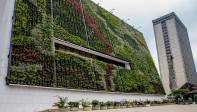 El jardín vertical en la fachada del Concejo mide 475 m2 y los del interior de La Alpujarra suman otros 292 m2 para un total de 767 m2. Foto: Juan Antonio Sánchez Ocampo