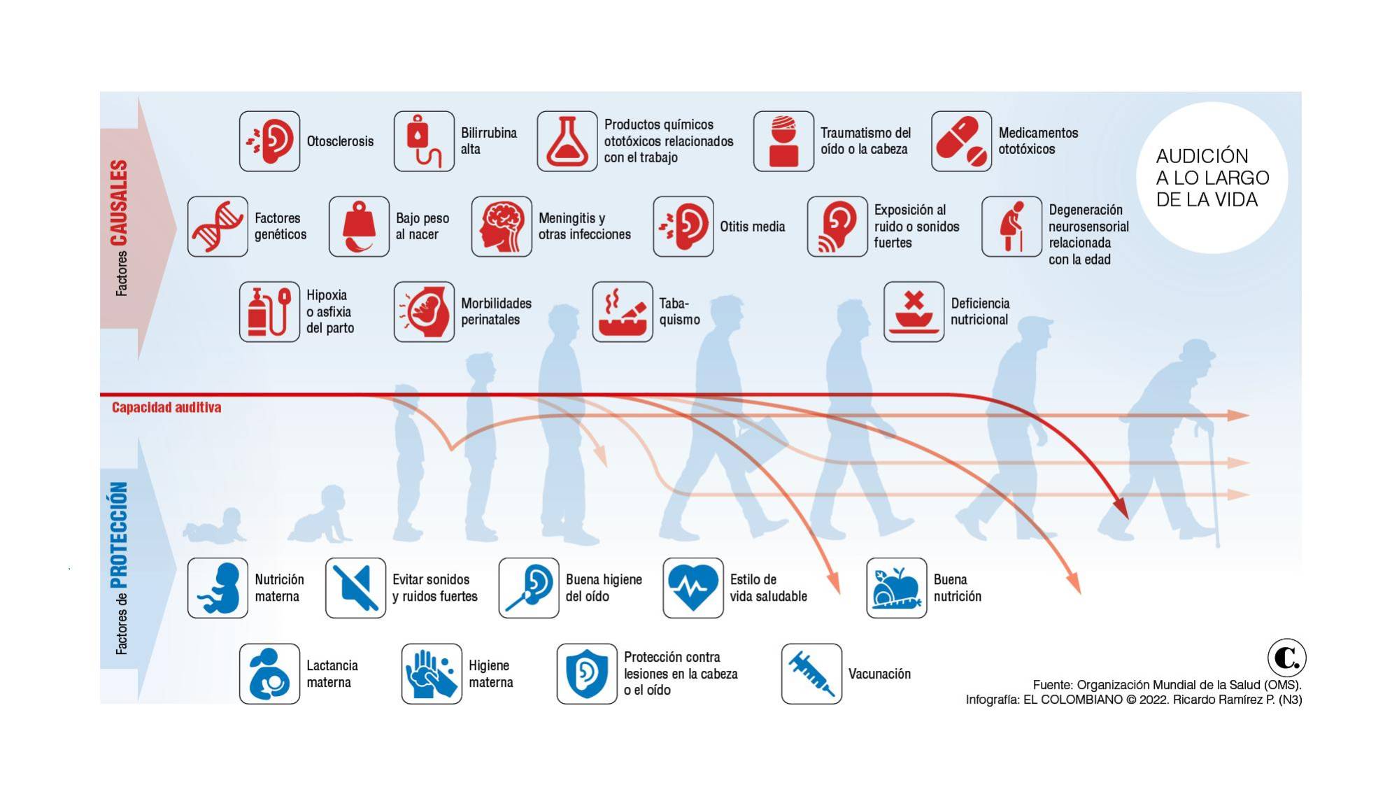InfogrÃ¡fico