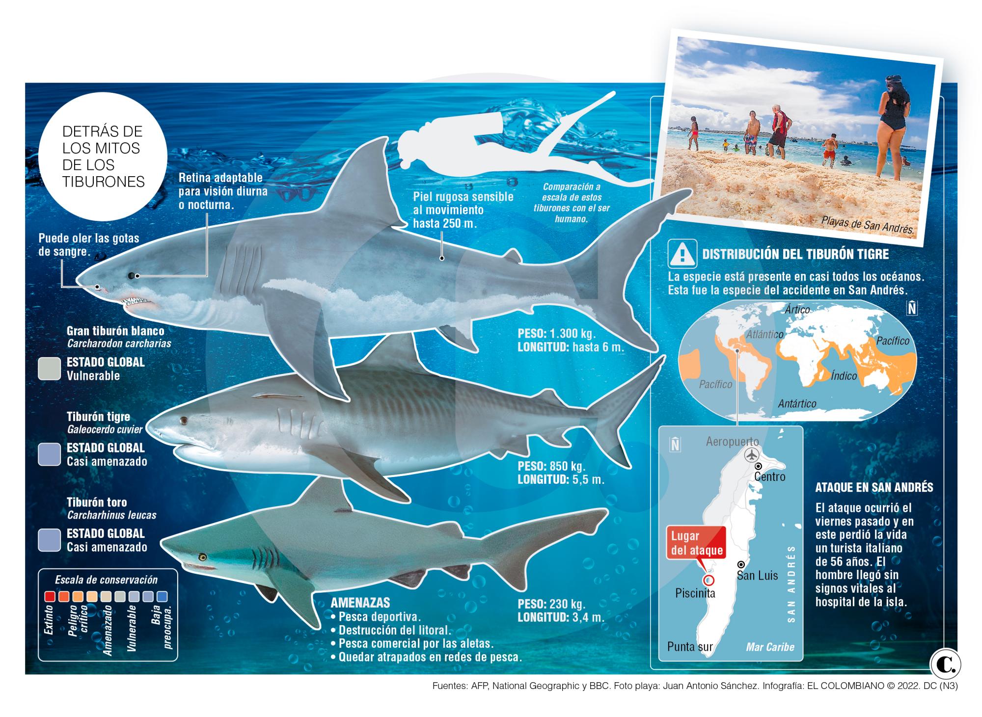 InfogrÃ¡fico
