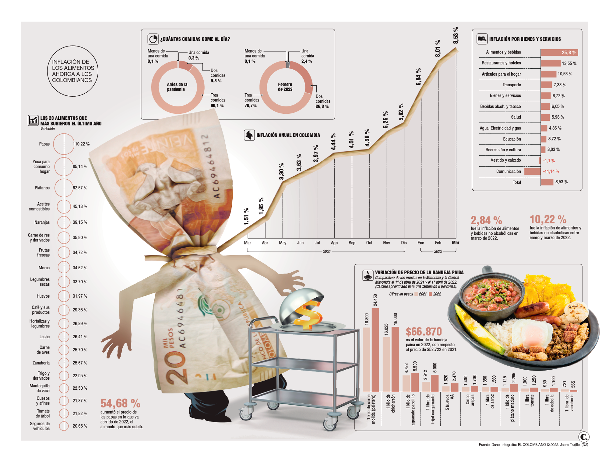 InfogrÃ¡fico