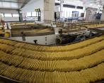 Nutresa, elegida como empresa de alimentos más sostenible del mundo