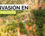 La historia de la invasión que está arrasando una reserva forestal en Remedios