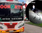 La vaca murió en el lugar de accidente. FOTOS COONORTE Y CAPTURA DE PANTALLA 