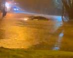 Fuertes lluvias causaron estragos en Medellín