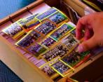 El álbum de Panini encendió la locura mundialista