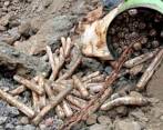 El material explosivo, presuntamente, habría sido abandonado hace varios años. FOTO: CORTESÍA