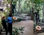 Al jaguar le propinaron 13 disparos. FOTOS CAPTURA DE PANTALLA 