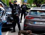 En distintas zonas de España las autoridades realizan redadas para hallar a los responsables de los ataques. FOTO CORTESÍA