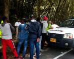 Los 52 migrantes tenían como objetivo llegar al departamento de Antioquia, parar en Medellín y seguir hacia Turbo. FOTOS Cortesía Migración Colombia.