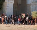 Más de 150 heridos en disturbios en la Explanada de las Mezquitas en Jerusalén