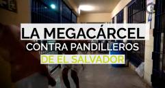 Llegaron los primeros 2.000 pandilleros a la megacárcel en El Salvador