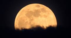 Esta foto fue tomada en la ciudad española de Santiago de Compostela. FOTOS EFE