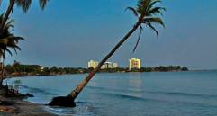 El acceso al derecho a la reparación a más de 4.600 personas, convirtiéndose en una cifra histórica en el 2020 en Urabá, con recursos superiores a los 53.000 millones de pesos. FOTO COLPRENSA