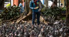 La estrategia se desarrolla inicialmente en parques de los barrios Pedregal, Aranjuez y Belén. FOTO: JAIME PÉREZ