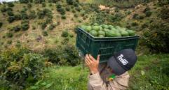 Más de 811 millones de personas se encuentran en inseguridad alimentaria en todo el planeta. Foto: Edwin Bustamante