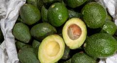 La fachada incluía un contrato radicado en notaría y visitas guiadas a una planta en Guarne. FOTO: Archivo EC.