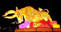 El año del buey inicia este viernes 12 de febrero y termina el 31 de diciembre de 2022. Esto bajo el tradicional calendario Chino. FOTO: GETTY