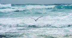 Imagen de referencia. FOTO EFE 