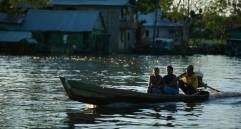 La Amazonia alberga el 10 % de la biodiversidad mundial y de su bienestar dependen directamente 33 millones que la habitan. Colombia posee el 6 % de la cuenca amazónica. FOTO colprensa
