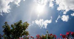 El fenómeno se apreciará este martes sobre las 12:06 del día. Foto: Edwin Bustamante Restrepo