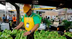 Expo Agrofuturo es uno de los espacios relevantes para el sector agropecuario y se celebrará entre el 24 y 26 de noviembre, en Plaza Mayor Medellín. FOTO Manuel Saldarriaga