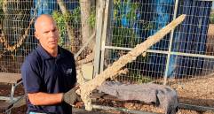 Nir Distelfeld junto a la espada de 900 años que fue encontrada en el Mediterráneo Foto: EFE