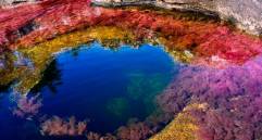 Puede visitarlo hasta noviembre, de lunes a domingo entre las 7:00 a.m. y las 4:00 p.m. Foto: Colprensa