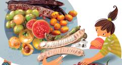 ilustración Elena ospina