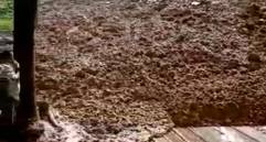 La vía se bloqueó por un deslizamiento de tierra y se esperaba abrir paso antes de finalizar este viernes 24. IMAGEN TOMADA DE VIDEO