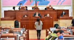 Por ahora, los artículos aprobados se han votado en tres bloques en la plenaria de la Cámara. FOTO: CÁMARA DE REPRESENTANTES. 