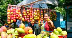 El consumo de mango en Estados Unidos ha subido 63% en los últimos 10 años. FOTO: COLPRENSA